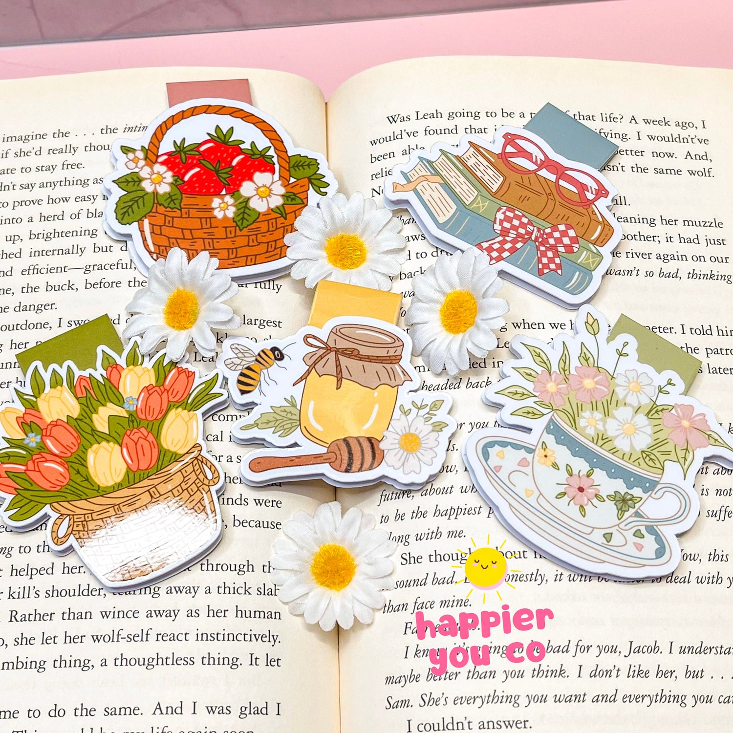Magnetic Bookmarks